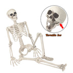 Witchwood™ OZMI Halloween Skeleton Decoration for Haunted House, 38 Inch Full Body Plastic Skull Skeleton with Posable Joints for Halloween Party Haunted House Bar Graveyard Decorations Party