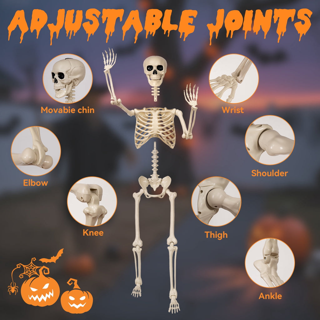 Witchwood™ 5.4 ft Halloween skeleton decoration, with movable joints, flexible skeleton for poses, scary skeleton suitable for indoor and outdoor Halloween decorations, haunted houses, courtyards, cemeteries.