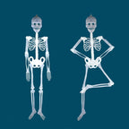 Witchwood™ Deago 4 Pack Halloween Hanging Luminous Skeleton Decorations 5 Ft Full Body Glow-in-The-Dark Poseable Skeleton for Outdoor Yard Garden Hanging Halloween Props