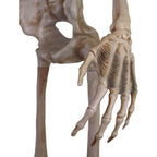 Witchwood™ 8 ft Tall Motion-Activated Towering Skeleton, Premium Talking Halloween Animatronic Decoration, Plug-In, HHTWRSKEL-2FLSA