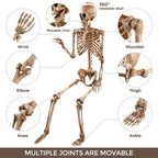 Witchwood™ 5.4ft Halloween Skeleton Decorations, Weathered Posable Skeleton Decor for Halloween Decorations Outdoor Indoor