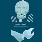 Witchwood™ Deago 4 Pack Halloween Hanging Luminous Skeleton Decorations 5 Ft Full Body Glow-in-The-Dark Poseable Skeleton for Outdoor Yard Garden Hanging Halloween Props