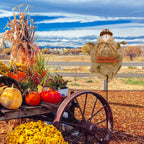 Witchwood™ Fall Scarecrow Yard Stake with LED Lights Happy Fall Ya'll Scarecrow Garden Stake Autumn Harvest Halloween Thanksgiving Outdoor Yard Decorations