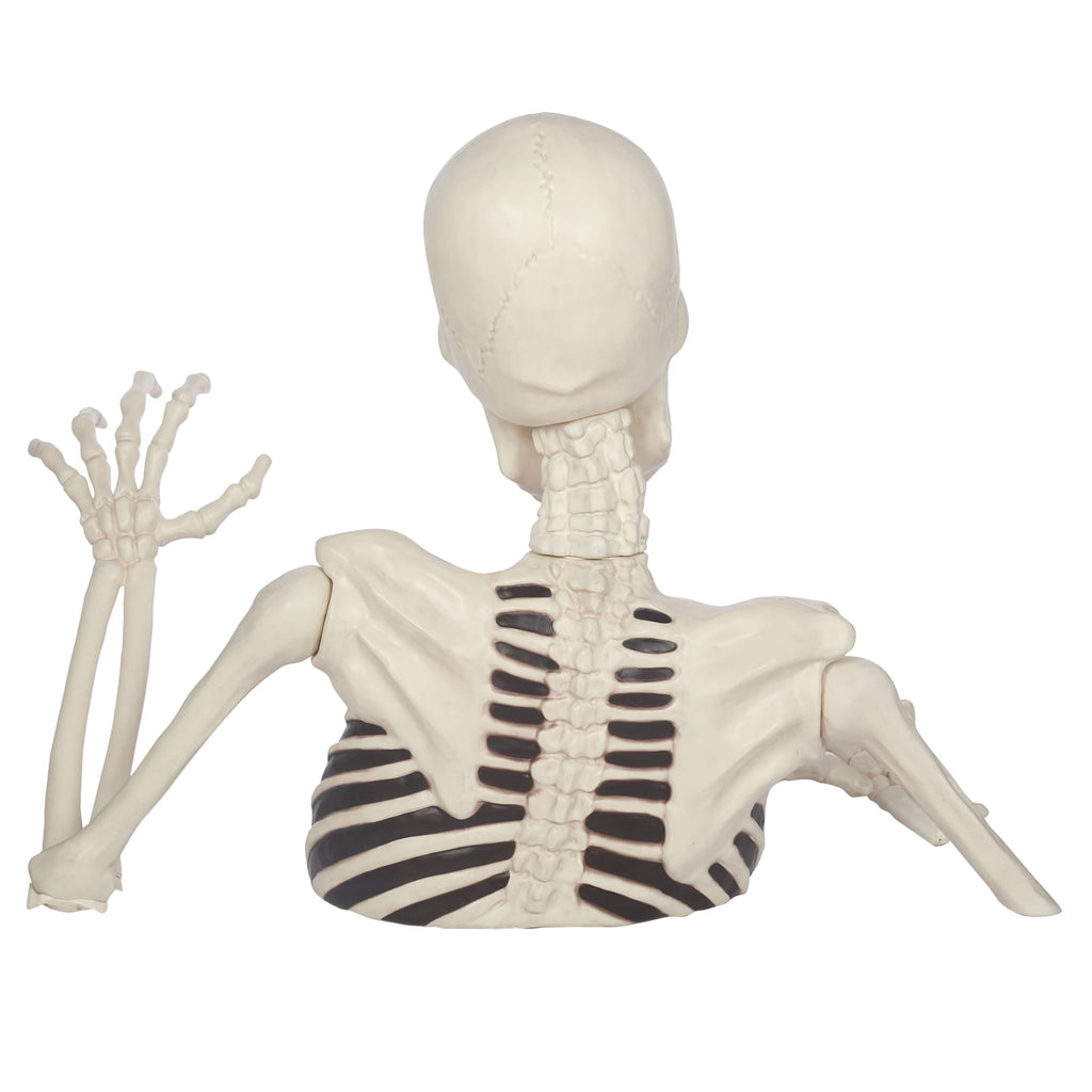Witchwood™ 35" Halloween Giant Groundbreaker Skeleton, Halloween Decoration for Outdoor Lawn Yard and Porch