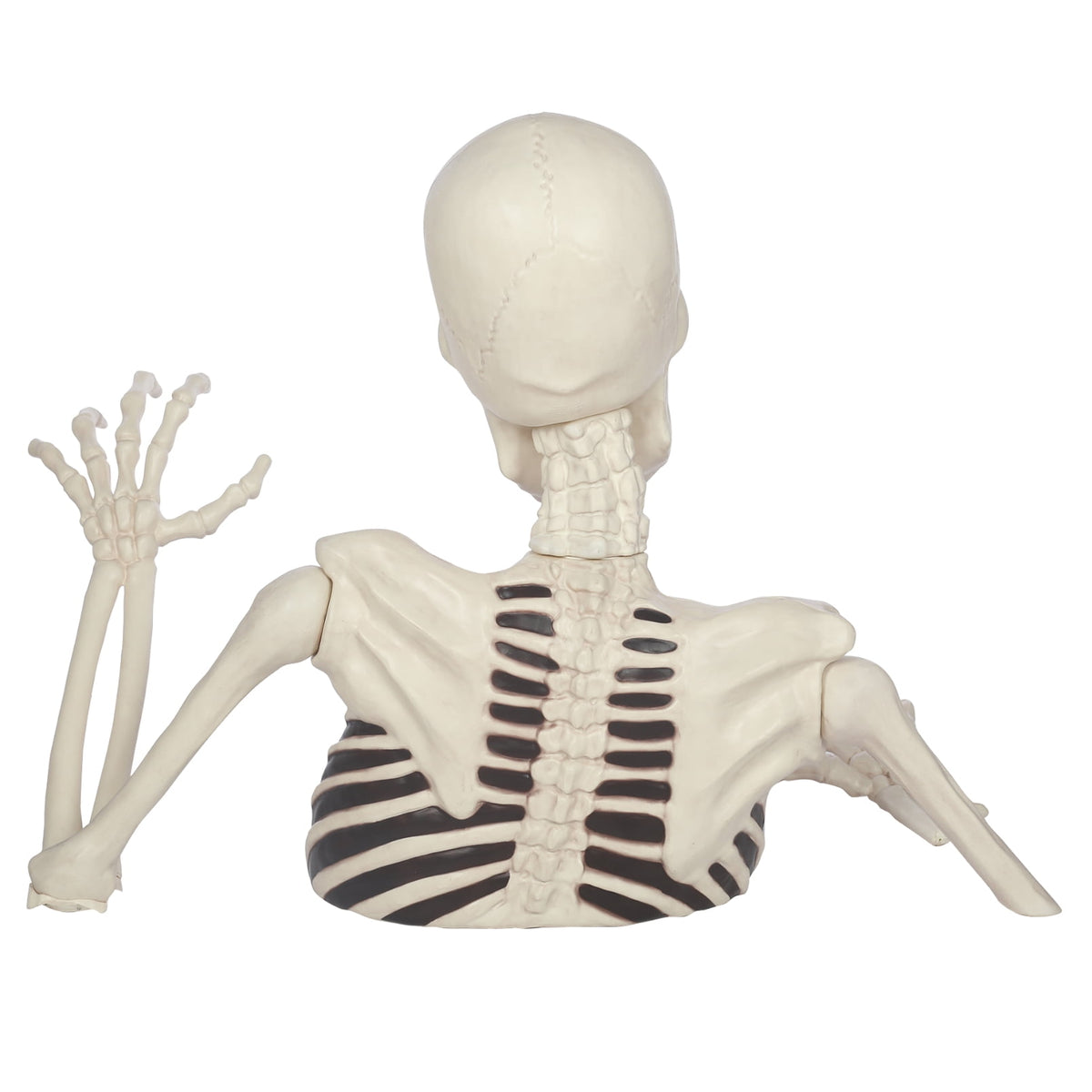 Witchwood™ 35" Halloween Giant Groundbreaker Skeleton, Halloween Decoration for Outdoor Lawn Yard and Porch