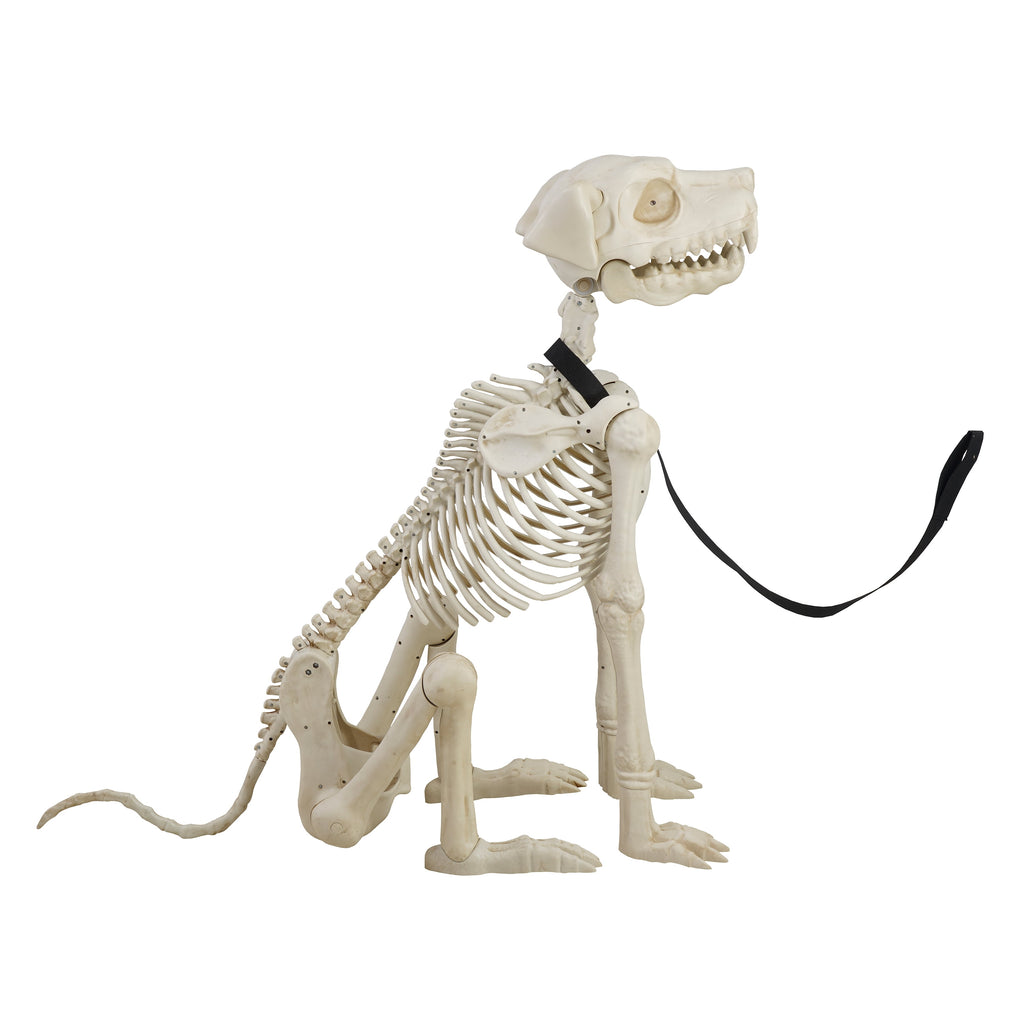 Witchwood™ 60-inch Animated Beige Skeleton Dog, Halloween Decoration