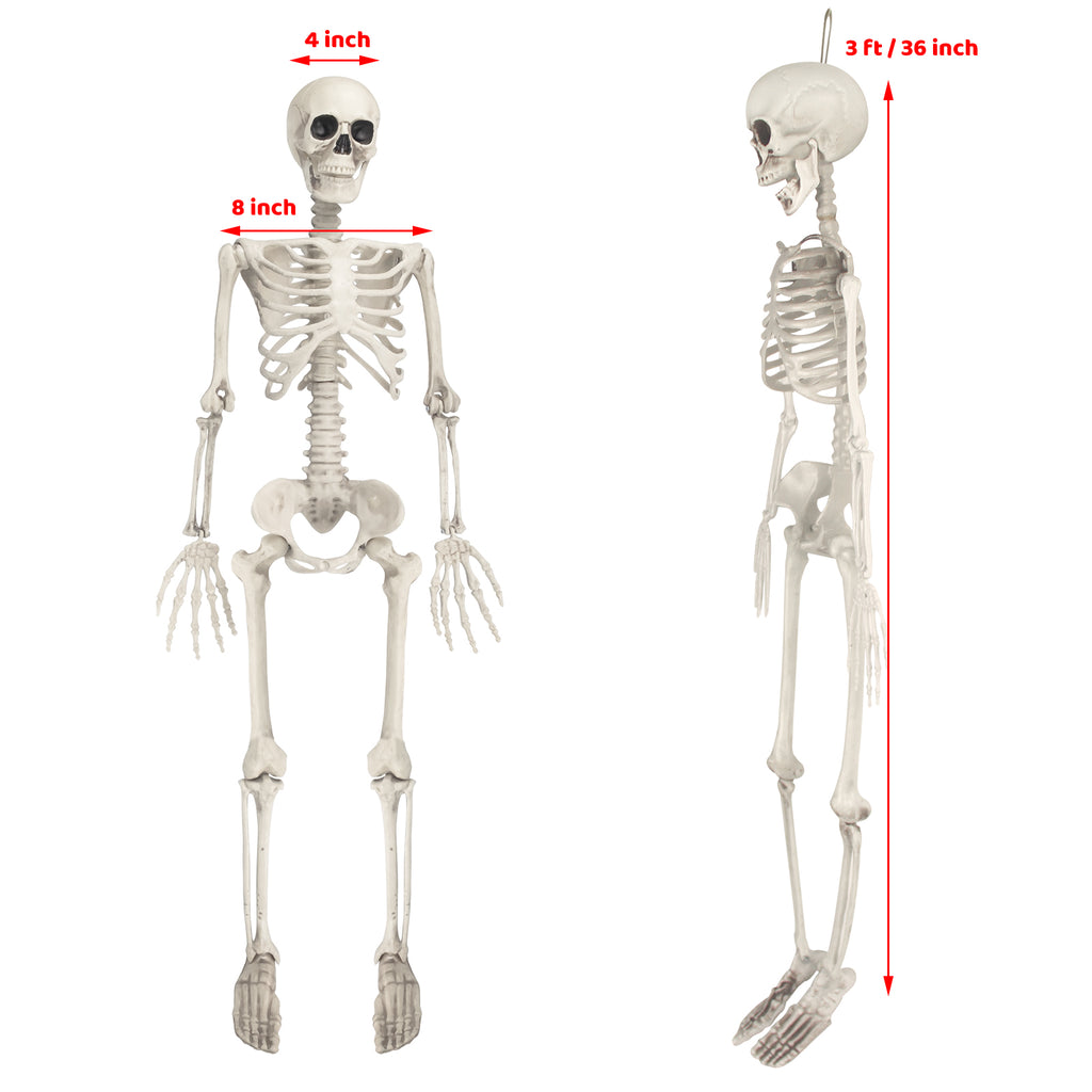 Witchwood™ OZMI Halloween Skeleton Decoration for Haunted House, 38 Inch Full Body Plastic Skull Skeleton with Posable Joints for Halloween Party Haunted House Bar Graveyard Decorations Party