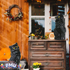 Witchwood™ PMU Halloween Black Cat - Blow Mold Plastic Cat Statue - Perfect Décor for Halloween, Home, Yard, Lawn, Garden, Indoor and Outdoor - Best for Party Favors and Supplies - (Yellow Eyes) 17 Inch Pkg/1