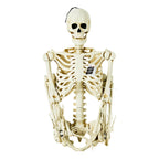 Witchwood™ Hanging Posable Skeleton Decoration, White, 5', Halloween