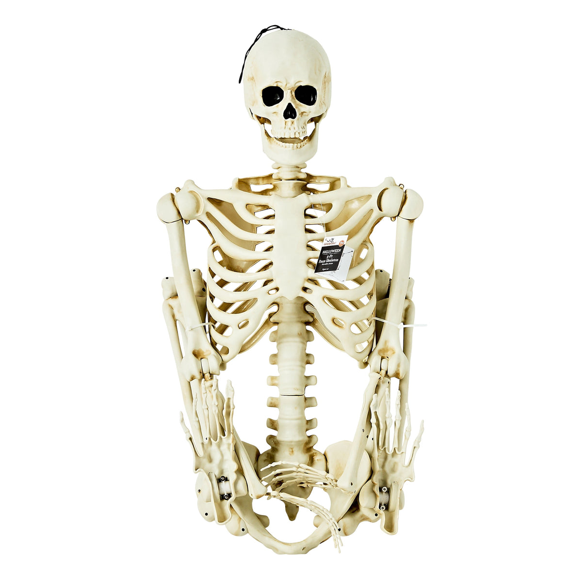 Witchwood™ Hanging Posable Skeleton Decoration, White, 5', Halloween