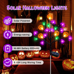 Witchwood™ 2 packs 40 LED Solar Halloween Lights, 2 Modes Halloween Bats Spiders Pumpkin Lights for Outdoor Decorations, Waterproof Stakes for Garden Yard Pathway Walkway