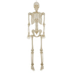 Witchwood™ 5-foot Poseable LED Illuminated Skeleton, Halloween Decoration