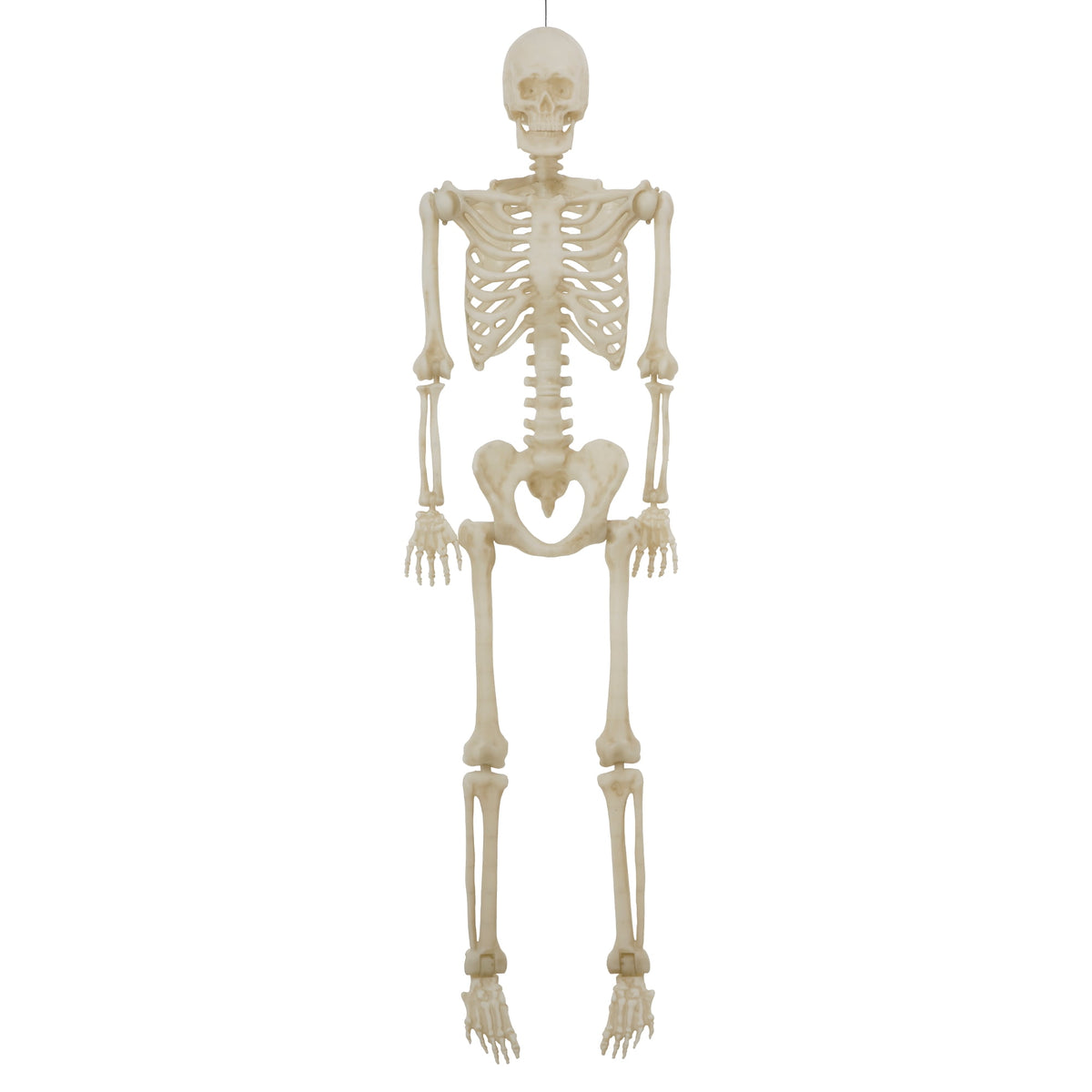 Witchwood™ 5-foot Poseable LED Illuminated Skeleton, Halloween Decoration