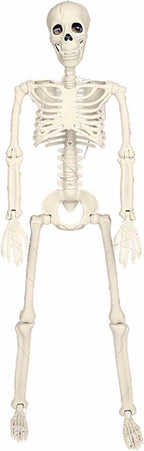 Witchwood™ 36" Full Body Skeleton Decoration,Halloween Posable Skeleton with Lights, Posable Joints Gothic Skeletons Decoration for Outdoor Indoor Yard Patio Haunted House,Light Up Spooky Party Props Decor