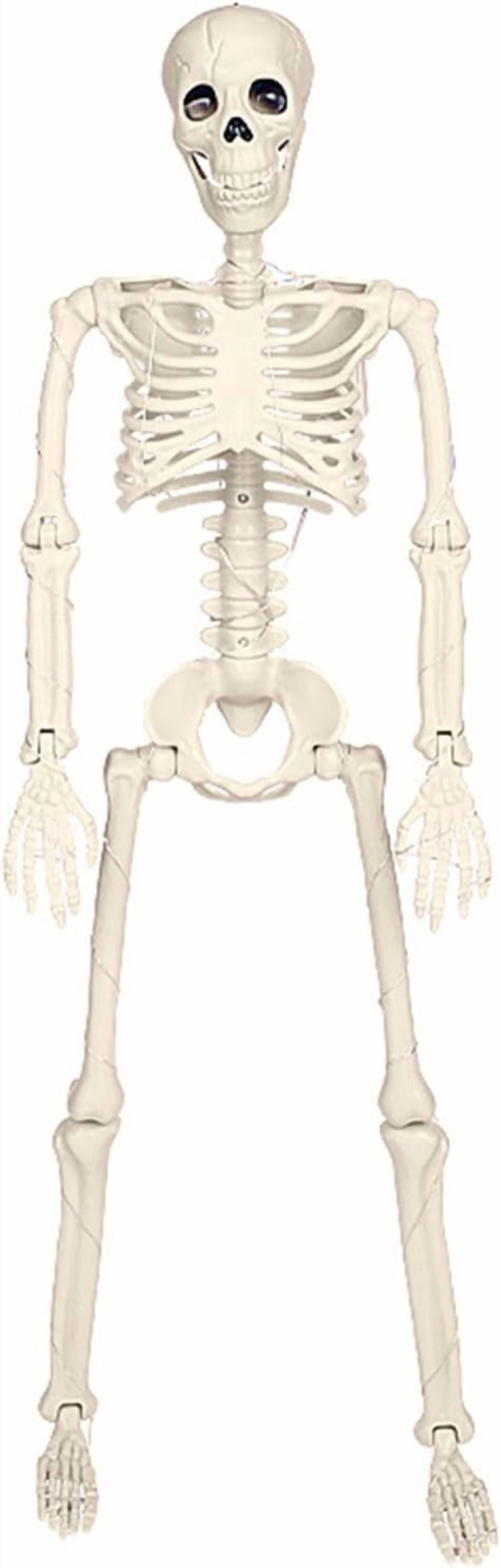 Witchwood™ 36" Full Body Skeleton Decoration,Halloween Posable Skeleton with Lights, Posable Joints Gothic Skeletons Decoration for Outdoor Indoor Yard Patio Haunted House,Light Up Spooky Party Props Decor